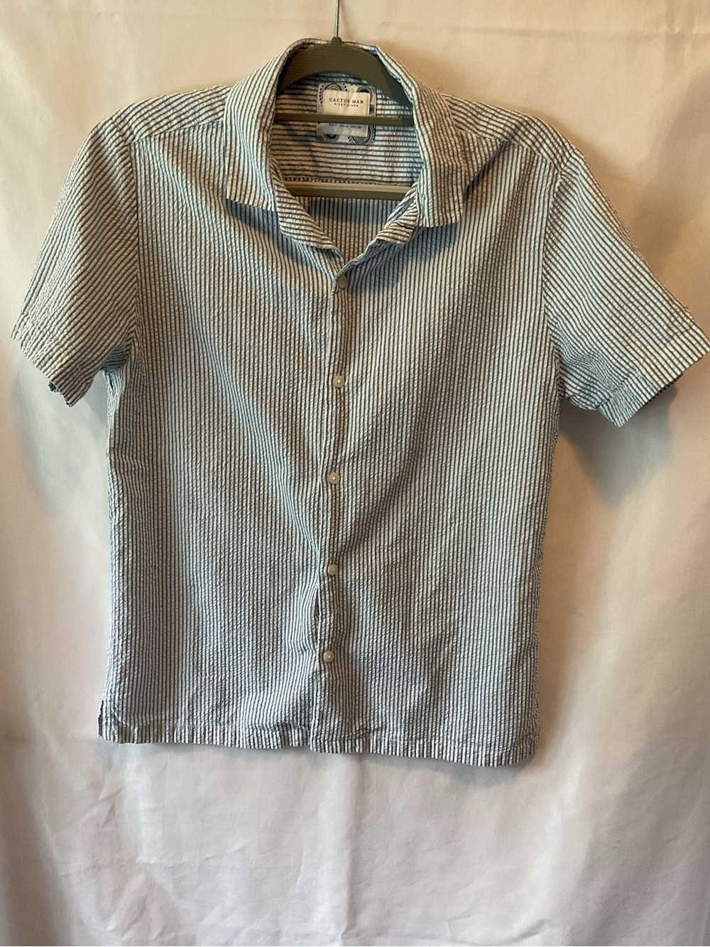 Cactus Man Men’s Short-Sleeve Button-Down Shirt - Blue & White Stripe
